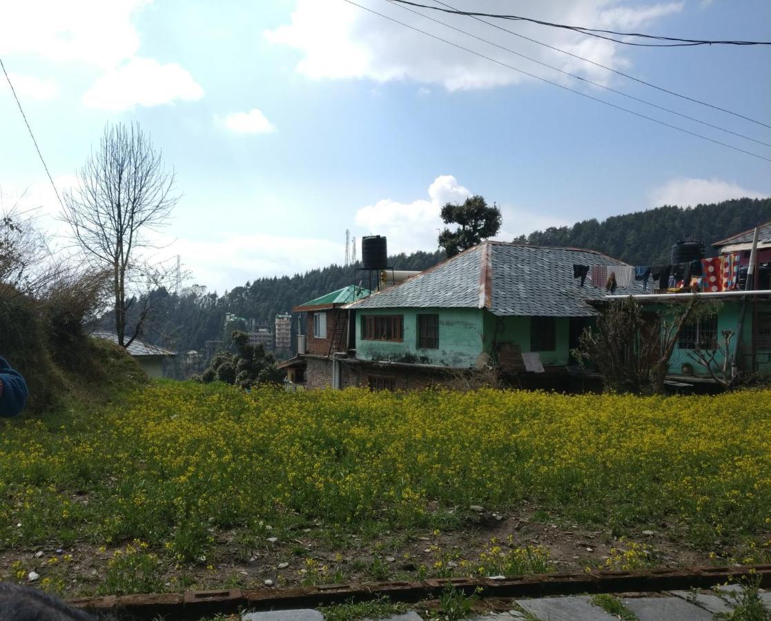 White Rabbit Guest House Дармсала Экстерьер фото